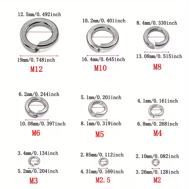 310pc Stainless Steel Spring Washer Assortment Set M2–M12 – Lock Washers Box